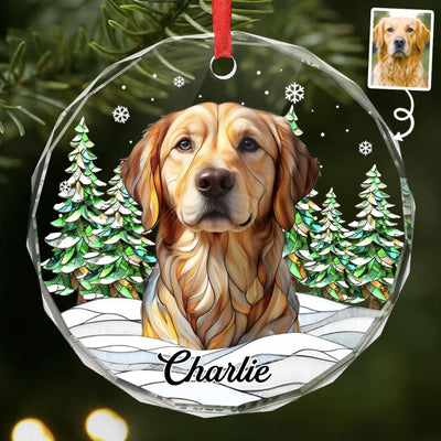 Benutzerdefiniertes Foto-Glas Ornament Kreis – Personalisierte Haustier-Weihnachts Andenken und Trauergeschenke für Hunde und Katzen – Stille Schnurrhaare hallen voller Liebe nach