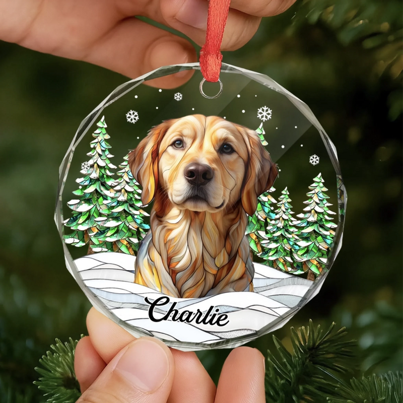 Benutzerdefiniertes Foto-Glas Ornament Kreis – Personalisierte Haustier-Weihnachts Andenken und Trauergeschenke für Hunde und Katzen – Stille Schnurrhaare hallen voller Liebe nach