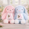 Personalisiertes Osterhase-Kuscheltier – Ostergeschenk für Babys – Der Osterhase ist da
