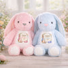 Personalisiertes Osterhase-Kuscheltier – Ostergeschenk für Babys – Ein Hase voller Freude