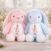 Personalisiertes Osterhase-Kuscheltier – Ostergeschenk für Babys – Kleine Ohren, große Herzen