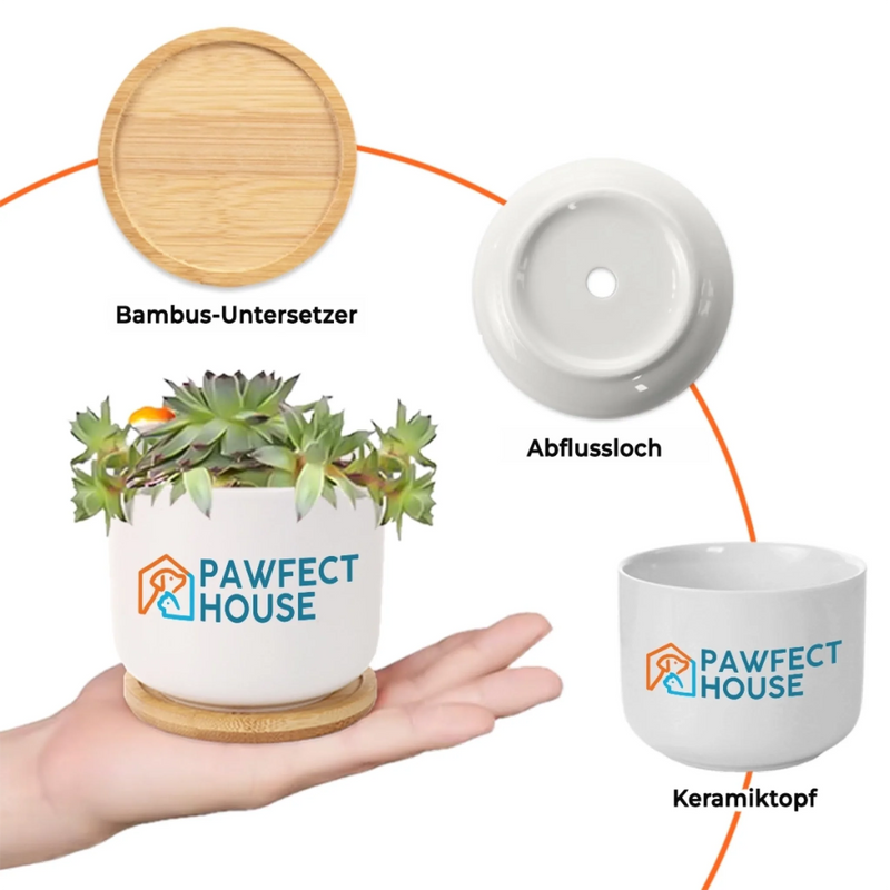 Personalisiertes Keramik-Blumentopf – Geschenk für Gärtnerin – Kleine Samen, Große Freude