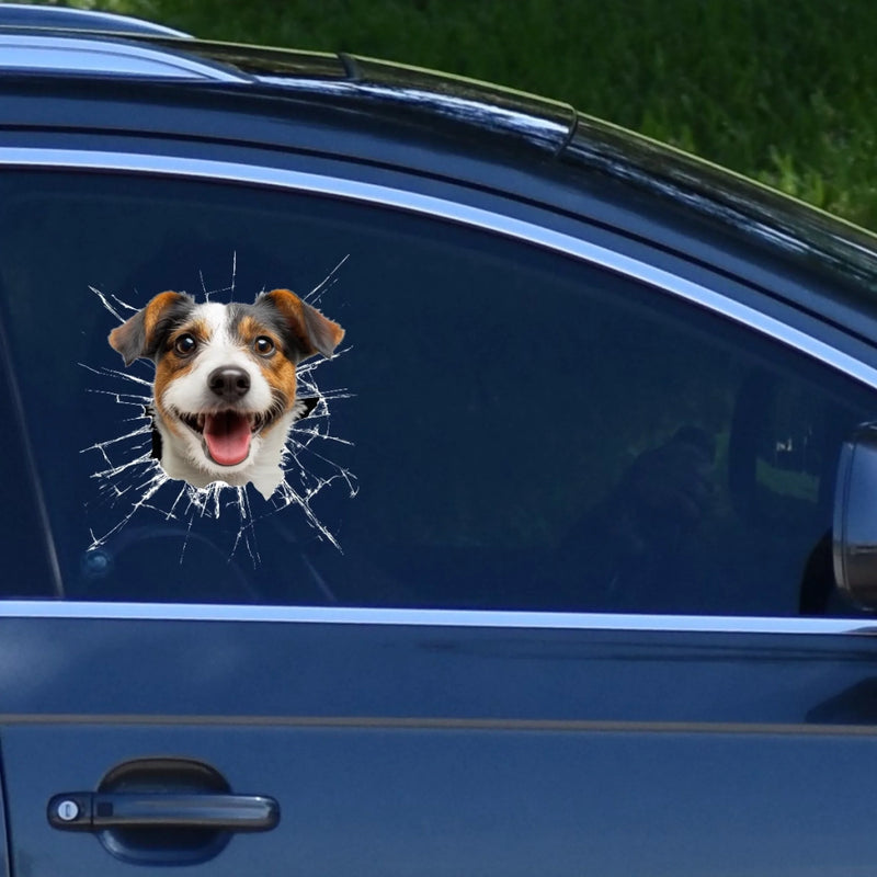 Personalisierte Wohnmobil-Aufkleber mit Foto - Geschenke Für Hunde- Und Katzenliebhaber - Leben ist schöner mit Fell
