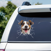 Personalisierte Wohnmobil-Aufkleber mit Foto - Geschenke Für Hunde- Und Katzenliebhaber - Leben ist schöner mit Fell