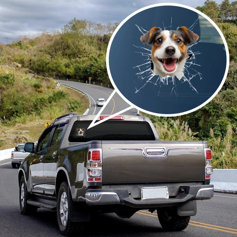 Personalisierte Wohnmobil-Aufkleber mit Foto - Geschenke Für Hunde- Und Katzenliebhaber - Leben ist schöner mit Fell