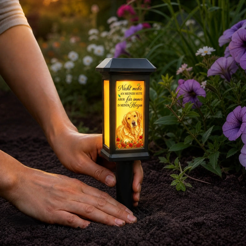 Personalisierte Garten Solarlampen mit Foto – Gedenkgeschenke | Erinnerung an Haustier – In jedem Sonnenaufgang